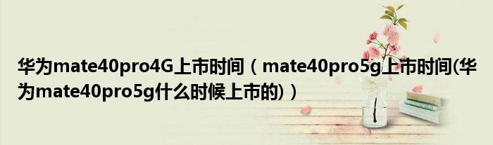 华为mate40pro4G上市时间（mate40pro5g上市时间(华为mate40pro5g什么时候上市的)）