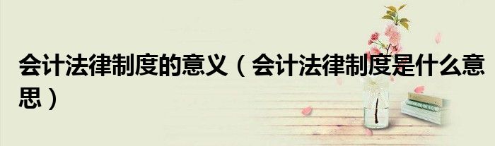 会计法律制度的意义(会计法律制度是什么意思)