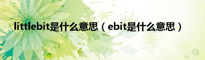 littlebit是什么意思（ebit是什么意思）