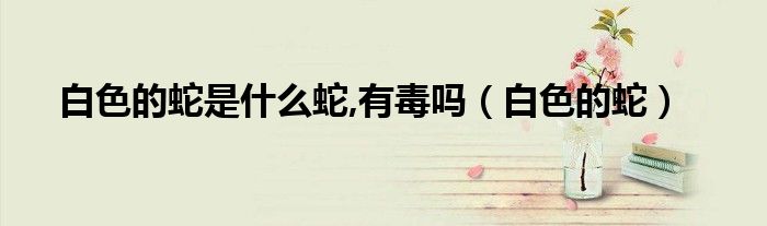 白色的蛇是什么蛇,有毒吗（白色的蛇）