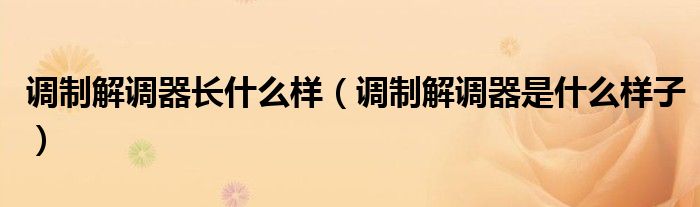 调制解调器长什么样（调制解调器是什么样子）