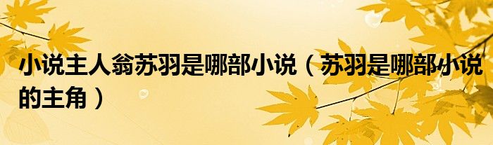 小说主人翁苏羽是哪部小说（苏羽是哪部小说的主角）