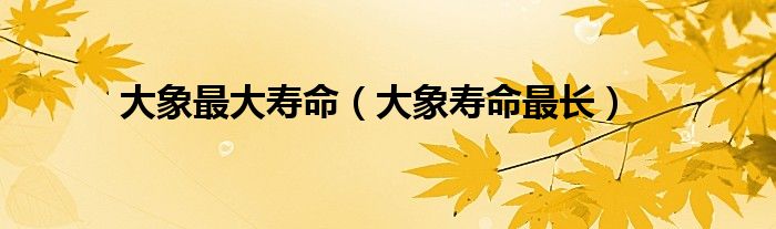 大象最大寿命（大象寿命最长）