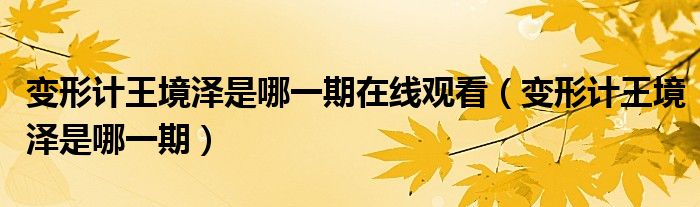 变形计王境泽是哪一期在线观看（变形计王境泽是哪一期）