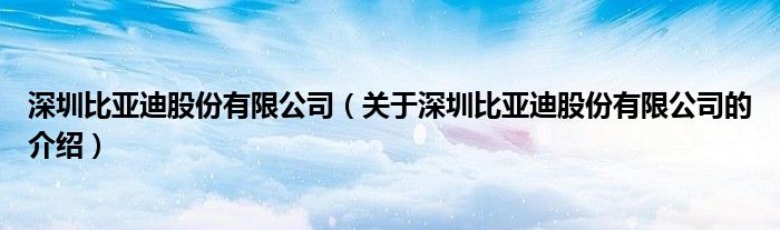 深圳比亚迪股份有限公司（关于深圳比亚迪股份有限公司的介绍）