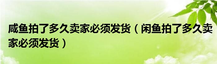 咸鱼拍了多久卖家必须发货（闲鱼拍了多久卖家必须发货）