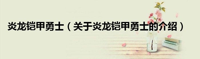 炎龙铠甲勇士（关于炎龙铠甲勇士的介绍）