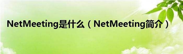 NetMeeting是什么（NetMeeting简介）