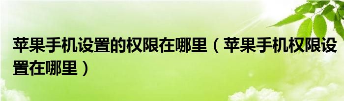 苹果手机设置的权限在哪里（苹果手机权限设置在哪里）
