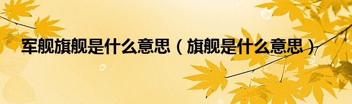 军舰旗舰是什么意思（旗舰是什么意思）