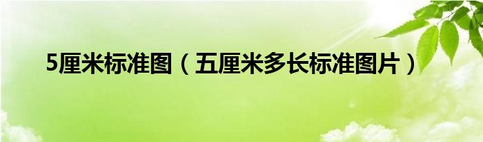 5厘米标准图（五厘米多长标准图片）