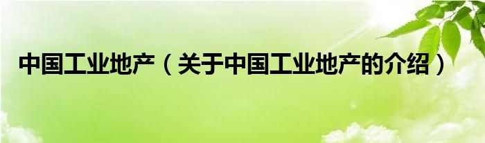 中国工业地产（关于中国工业地产的介绍）