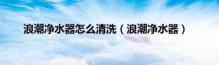 浪潮净水器怎么清洗（浪潮净水器）