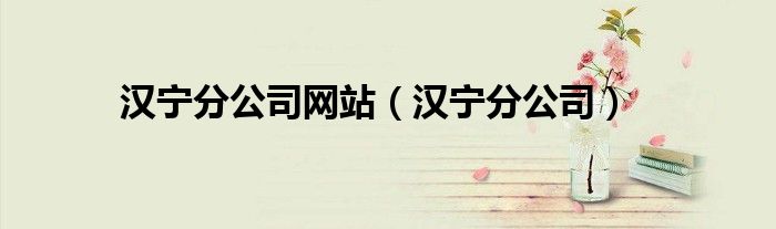汉宁分公司网站（汉宁分公司）