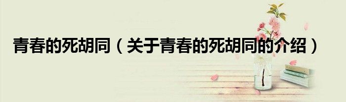 青春的死胡同（关于青春的死胡同的介绍）