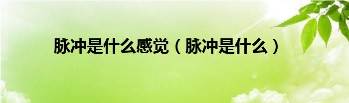 脉冲是什么感觉（脉冲是什么）