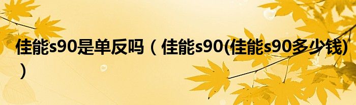 佳能s90是单反吗（佳能s90(佳能s90多少钱)）