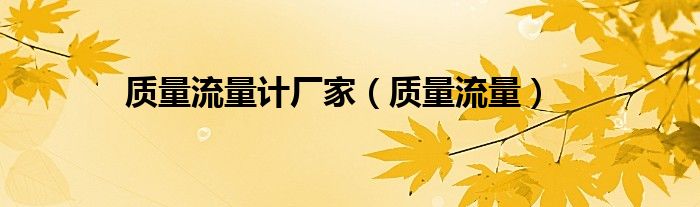 质量流量计厂家（质量流量）