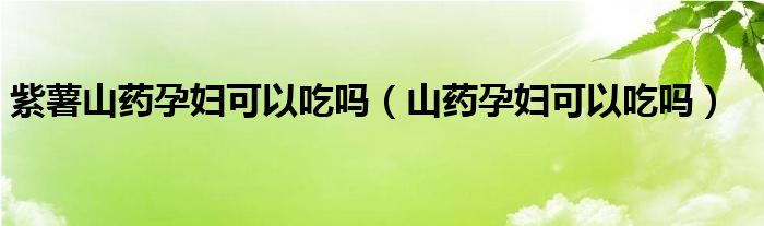 紫薯山药孕妇可以吃吗（山药孕妇可以吃吗）