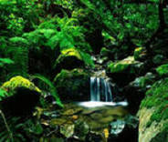 Gboard获得“增强语音输入”功能 可以扩展到像素