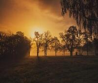 DFRobot 行空板模拟无人餐厅